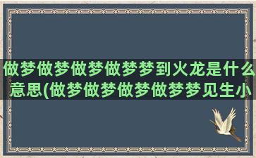 做梦做梦做梦做梦梦到火龙是什么意思(做梦做梦做梦做梦梦见生小孩是什么生肖)