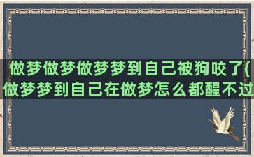 做梦做梦做梦梦到自己被狗咬了(做梦梦到自己在做梦怎么都醒不过来)