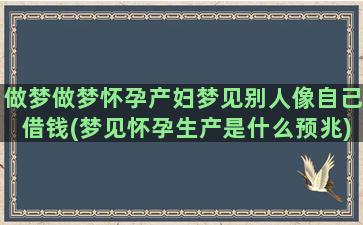 做梦做梦怀孕产妇梦见别人像自己借钱(梦见怀孕生产是什么预兆)