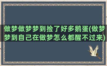 做梦做梦梦到捡了好多鹅蛋(做梦梦到自己在做梦怎么都醒不过来)