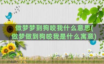 做梦梦到狗咬我什么意思(做梦做到狗咬我是什么寓意)