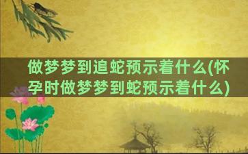 做梦梦到追蛇预示着什么(怀孕时做梦梦到蛇预示着什么)