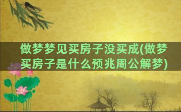 做梦梦见买房子没买成(做梦买房子是什么预兆周公解梦)