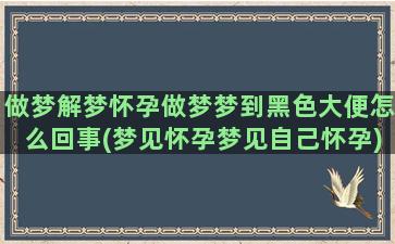 做梦解梦怀孕做梦梦到黑色大便怎么回事(梦见怀孕梦见自己怀孕)