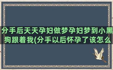 分手后天天孕妇做梦孕妇梦到小黑狗跟着我(分手以后怀孕了该怎么办)