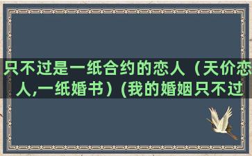 只不过是一纸合约的恋人（天价恋人,一纸婚书）(我的婚姻只不过是一纸合约)