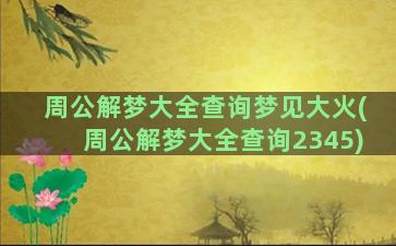 周公解梦大全查询梦见大火(周公解梦大全查询2345)