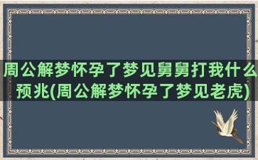 周公解梦怀孕了梦见舅舅打我什么预兆(周公解梦怀孕了梦见老虎)