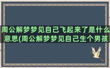 周公解梦梦见自己飞起来了是什么意思(周公解梦梦见自己生个男孩)