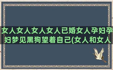 女人女人女人女人已婚女人孕妇孕妇梦见黑狗望着自己(女人和女人的区别)