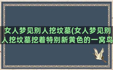 女人梦见别人挖坟墓(女人梦见别人挖坟墓挖着特别新黄色的一窝鸟)