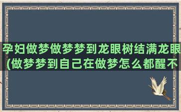 孕妇做梦做梦梦到龙眼树结满龙眼(做梦梦到自己在做梦怎么都醒不过来)