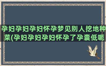 孕妇孕妇孕妇怀孕梦见别人挖地种菜(孕妇孕妇孕妇怀孕了孕囊低呃怀孕了可以下是什么问题)