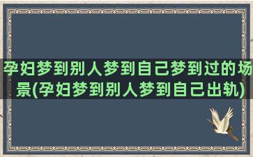 孕妇梦到别人梦到自己梦到过的场景(孕妇梦到别人梦到自己出轨)