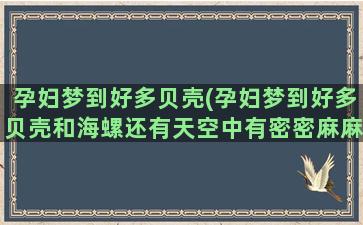 孕妇梦到好多贝壳(孕妇梦到好多贝壳和海螺还有天空中有密密麻麻飞的大雁)