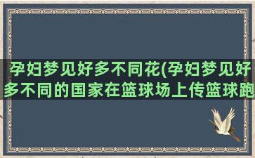 孕妇梦见好多不同花(孕妇梦见好多不同的国家在篮球场上传篮球跑赛)