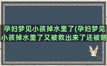 孕妇梦见小孩掉水里了(孕妇梦见小孩掉水里了又被救出来了还被赔钱)