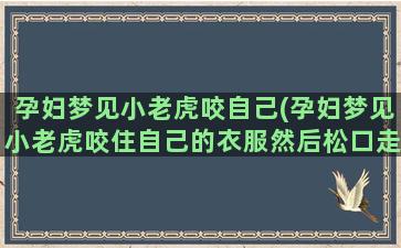 孕妇梦见小老虎咬自己(孕妇梦见小老虎咬住自己的衣服然后松口走了)