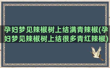 孕妇梦见辣椒树上结满青辣椒(孕妇梦见辣椒树上结很多青红辣椒)