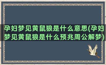 孕妇梦见黄鼠狼是什么意思(孕妇梦见黄鼠狼是什么预兆周公解梦)