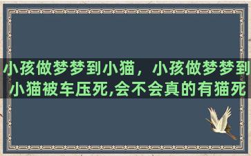 小孩做梦梦到小猫，小孩做梦梦到小猫被车压死,会不会真的有猫死掉