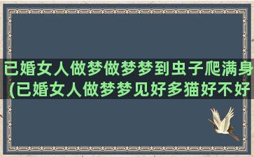 已婚女人做梦做梦梦到虫子爬满身(已婚女人做梦梦见好多猫好不好)