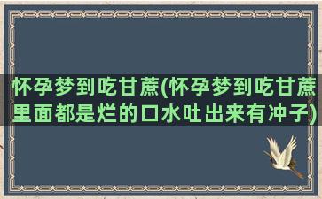 怀孕梦到吃甘蔗(怀孕梦到吃甘蔗里面都是烂的口水吐出来有冲子)