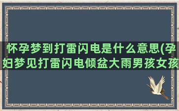 怀孕梦到打雷闪电是什么意思(孕妇梦见打雷闪电倾盆大雨男孩女孩)