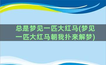 总是梦见一匹大红马(梦见一匹大红马朝我扑来解梦)