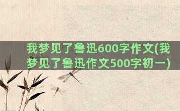 我梦见了鲁迅600字作文(我梦见了鲁迅作文500字初一)