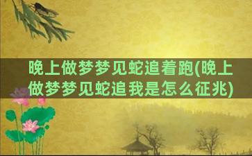 晚上做梦梦见蛇追着跑(晚上做梦梦见蛇追我是怎么征兆)