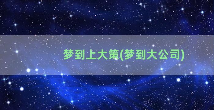 梦到上大策(梦到大公司)