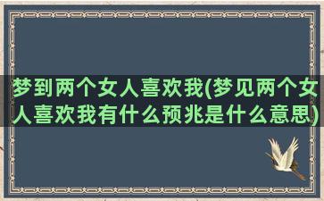 梦到两个女人喜欢我(梦见两个女人喜欢我有什么预兆是什么意思)