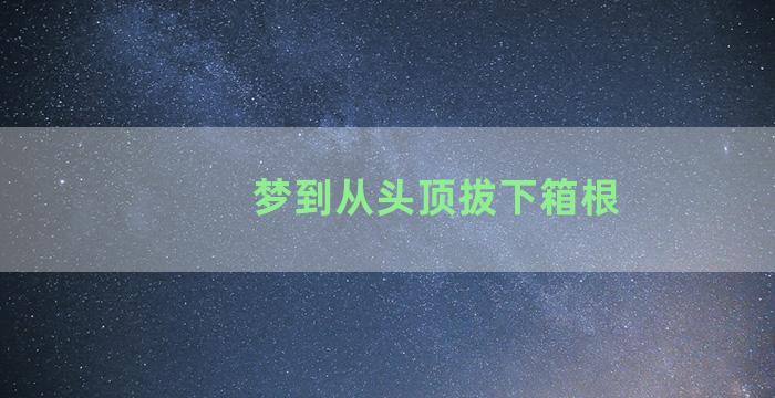 梦到从头顶拔下箱根