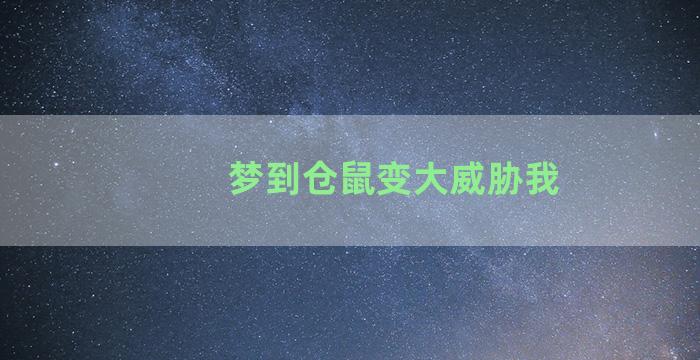 梦到仓鼠变大威胁我