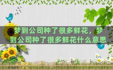 梦到公司种了很多鲜花，梦到公司种了很多鲜花什么意思