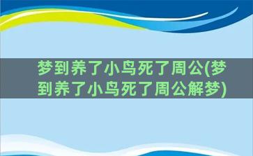 梦到养了小鸟死了周公(梦到养了小鸟死了周公解梦)