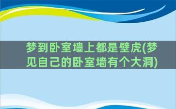 梦到卧室墙上都是壁虎(梦见自己的卧室墙有个大洞)