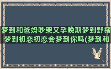 梦到和爸妈吵架又孕晚期梦到野猪梦到初恋初恋会梦到你吗(梦到和爸妈吵架又吵架)