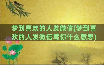 梦到喜欢的人发微信(梦到喜欢的人发微信骂你什么意思)