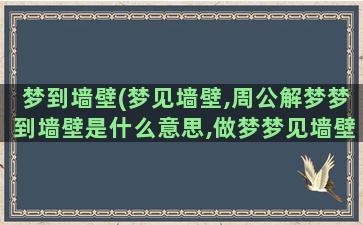 梦到墙壁(梦见墙壁,周公解梦梦到墙壁是什么意思,做梦梦见墙壁好不好)