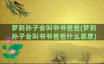 梦到孙子会叫爷爷爸爸(梦到孙子会叫爷爷爸爸什么意思)