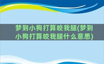 梦到小狗打算咬我腿(梦到小狗打算咬我腿什么意思)