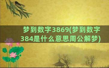 梦到数字3869(梦到数字384是什么意思周公解梦)