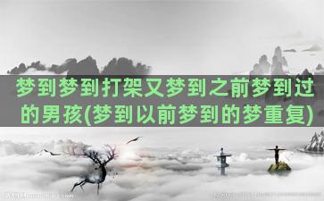 梦到梦到打架又梦到之前梦到过的男孩(梦到以前梦到的梦重复)