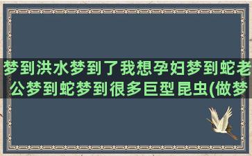 梦到洪水梦到了我想孕妇梦到蛇老公梦到蛇梦到很多巨型昆虫(做梦梦到蛇又梦到发洪水什么意思)