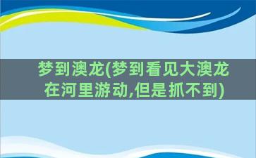 梦到澳龙(梦到看见大澳龙在河里游动,但是抓不到)