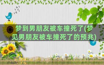 梦到男朋友被车撞死了(梦见男朋友被车撞死了的预兆)