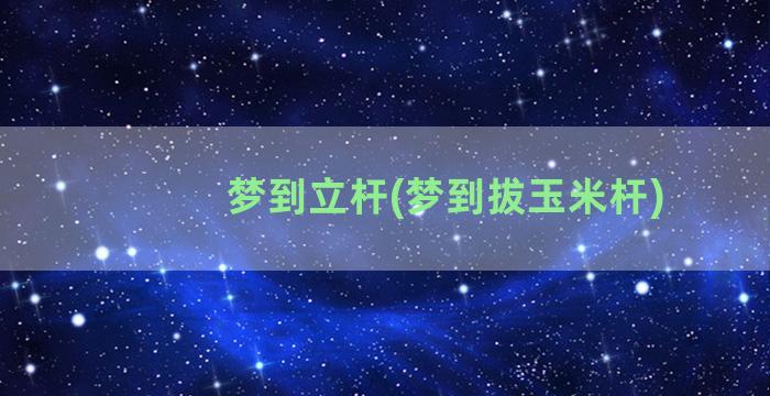 梦到立杆(梦到拔玉米杆)