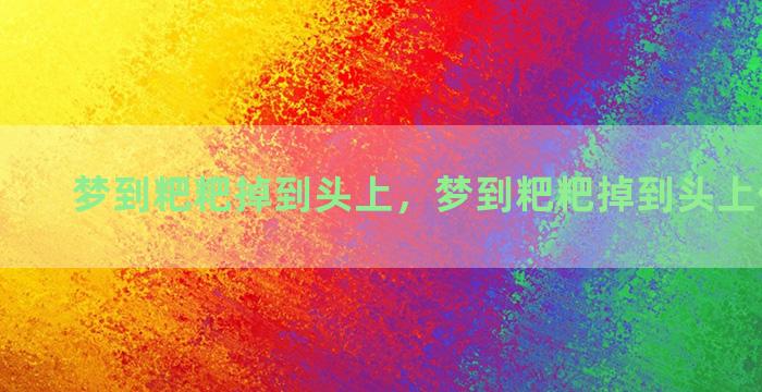 梦到粑粑掉到头上，梦到粑粑掉到头上什么意思